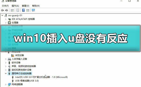 win10电脑插了u盘没反应怎么办？